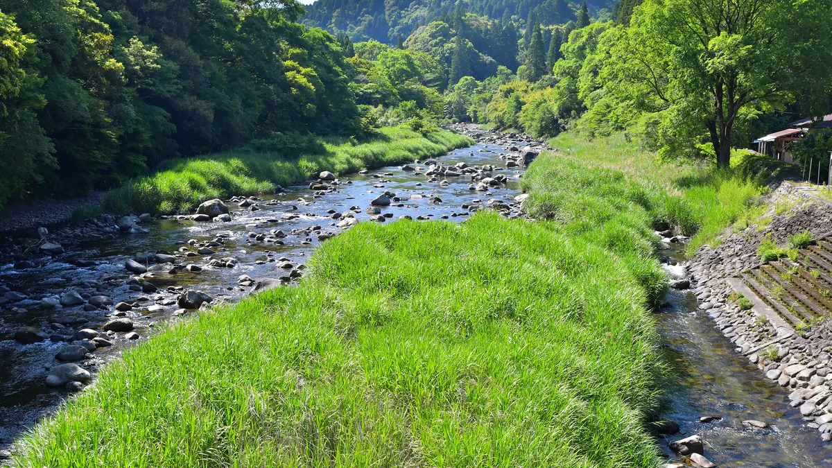 酒谷川の川遊びスポット