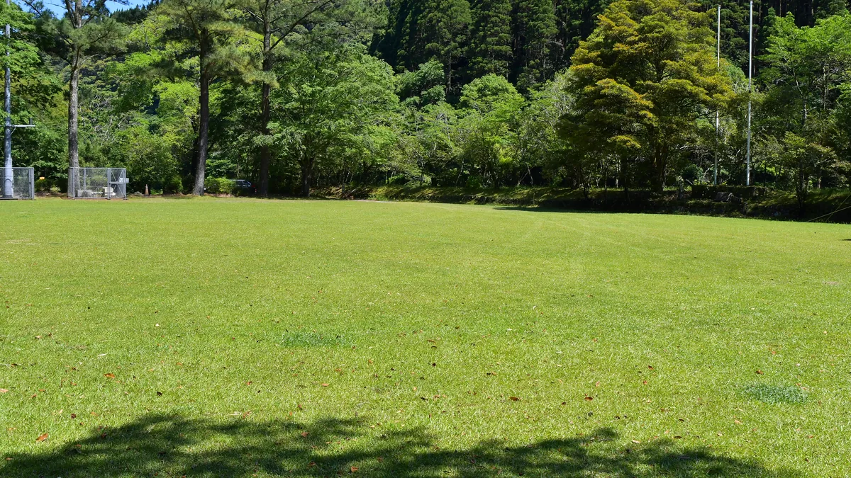 酒谷キャンプ場で最も広い芝生のフリーサイト
